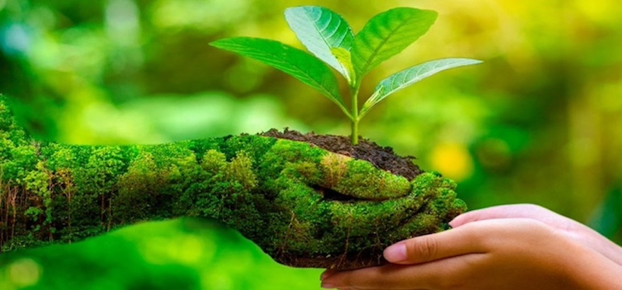 Manfaat Website dlhjawabarat.id bagi Pelestarian Lingkungan dalam Masyarakat