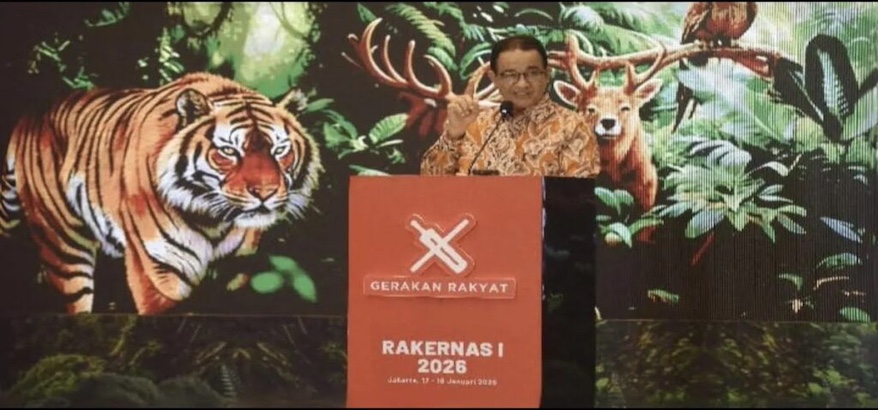 Hutan yang Hilang Secara Sah: Negara di Persimpangan Lingkungan