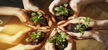 Mengoptimalkan Peran?Dinas Lingkungan Hidup Provinsi Kalimantan Timur dalam Pelestarian Lingkungan di Kalimantan Timur