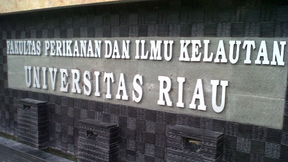Perbandingan Fakultas Perikanan dan Ilmu Kelautan Universitas Riau dengan Kampus Lain