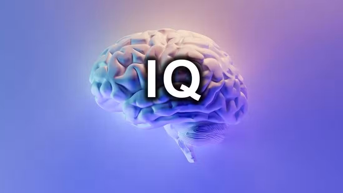 Tes Online IQ: Bisa Memprediksi Kesuksesan atau Hanya Mitos?