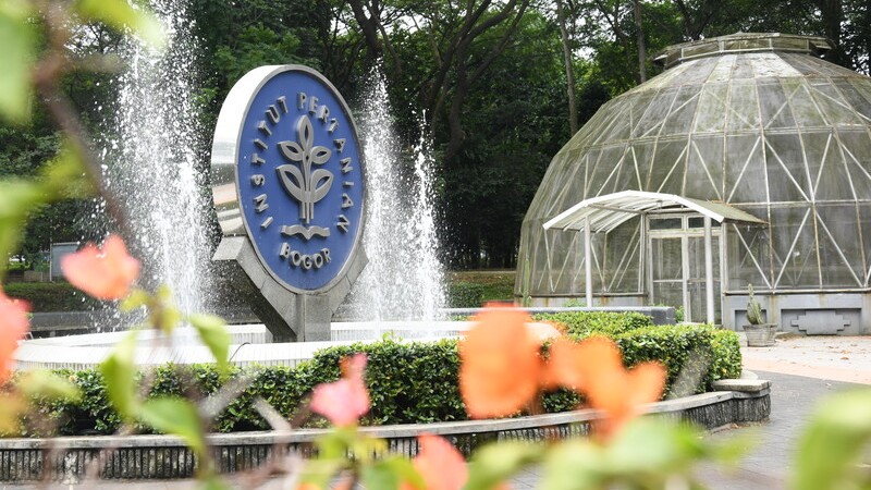 Hasil Seleksi IPB: Cara Mempersiapkan Diri Untuk Tahap Selanjutnya
